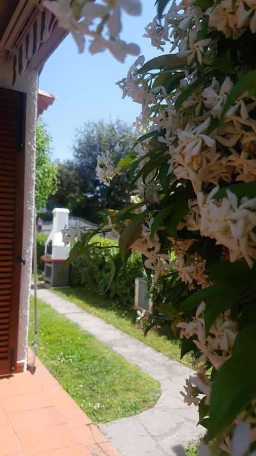 Villetta Cinquale Versilia 外观 照片