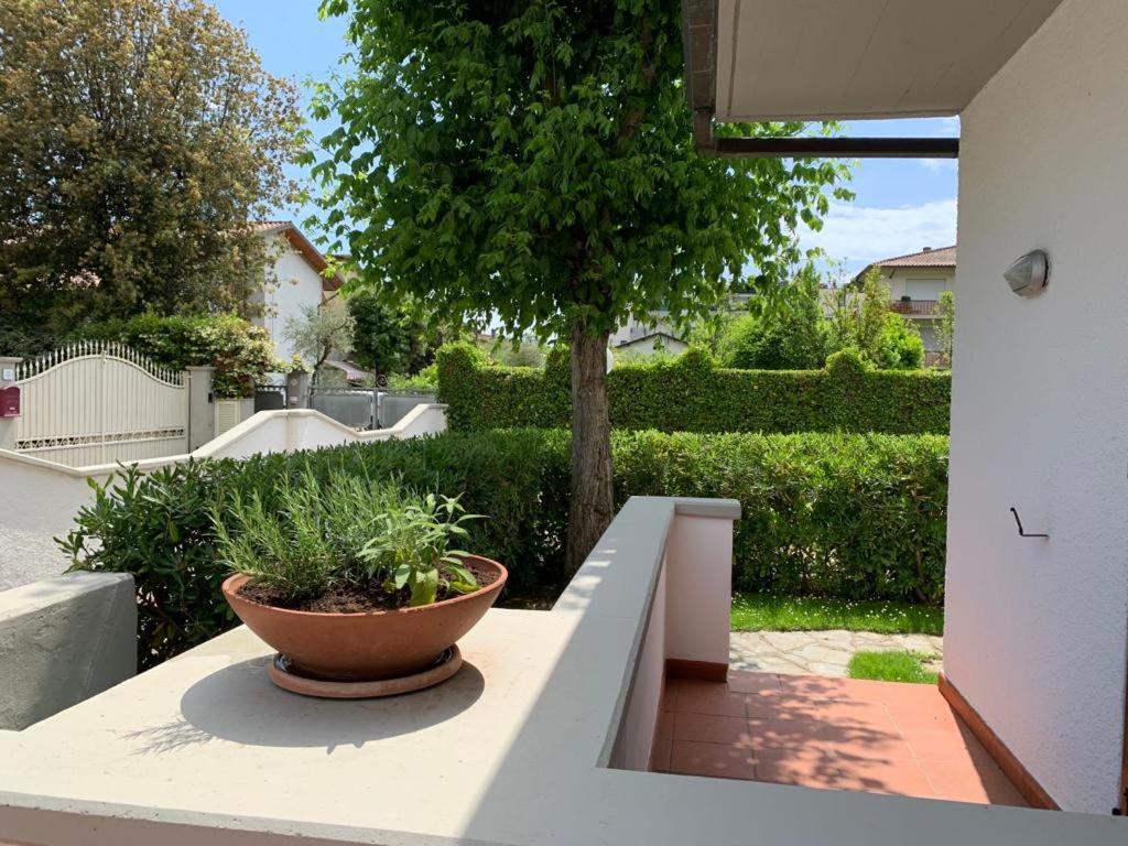 Villetta Cinquale Versilia 外观 照片